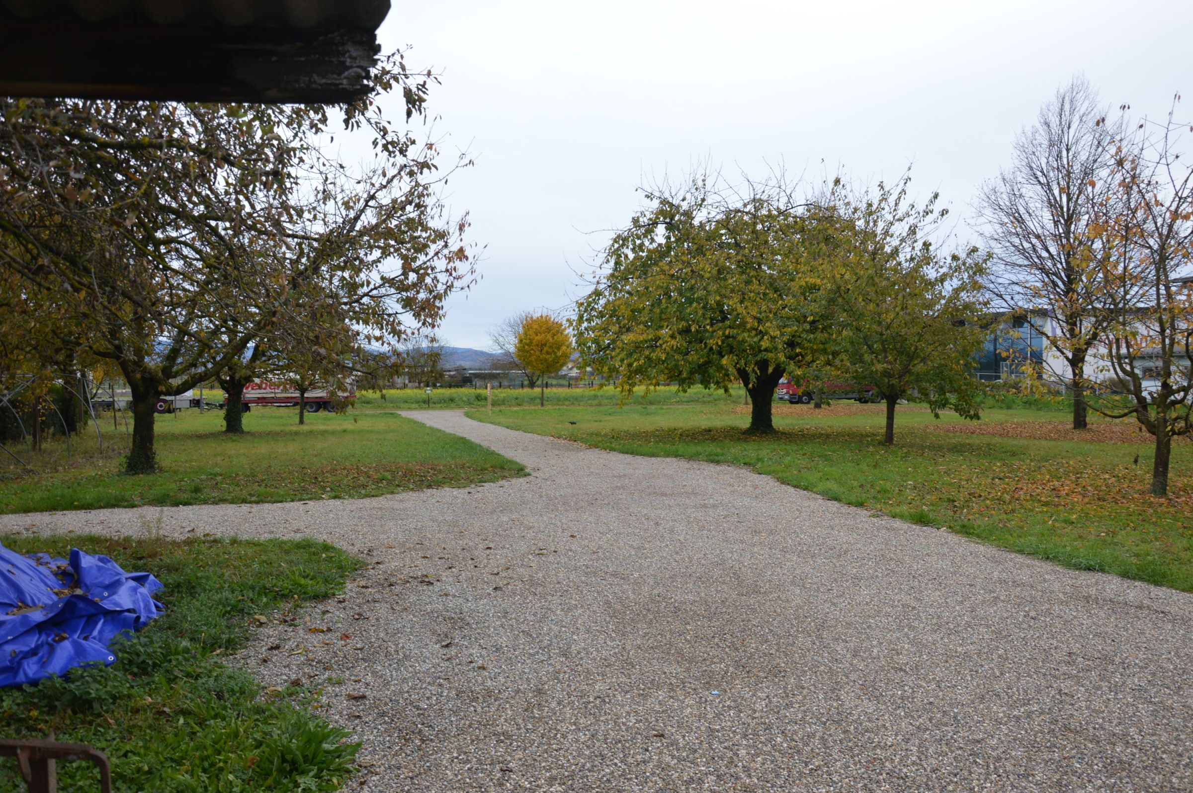 Einfahrt Parken